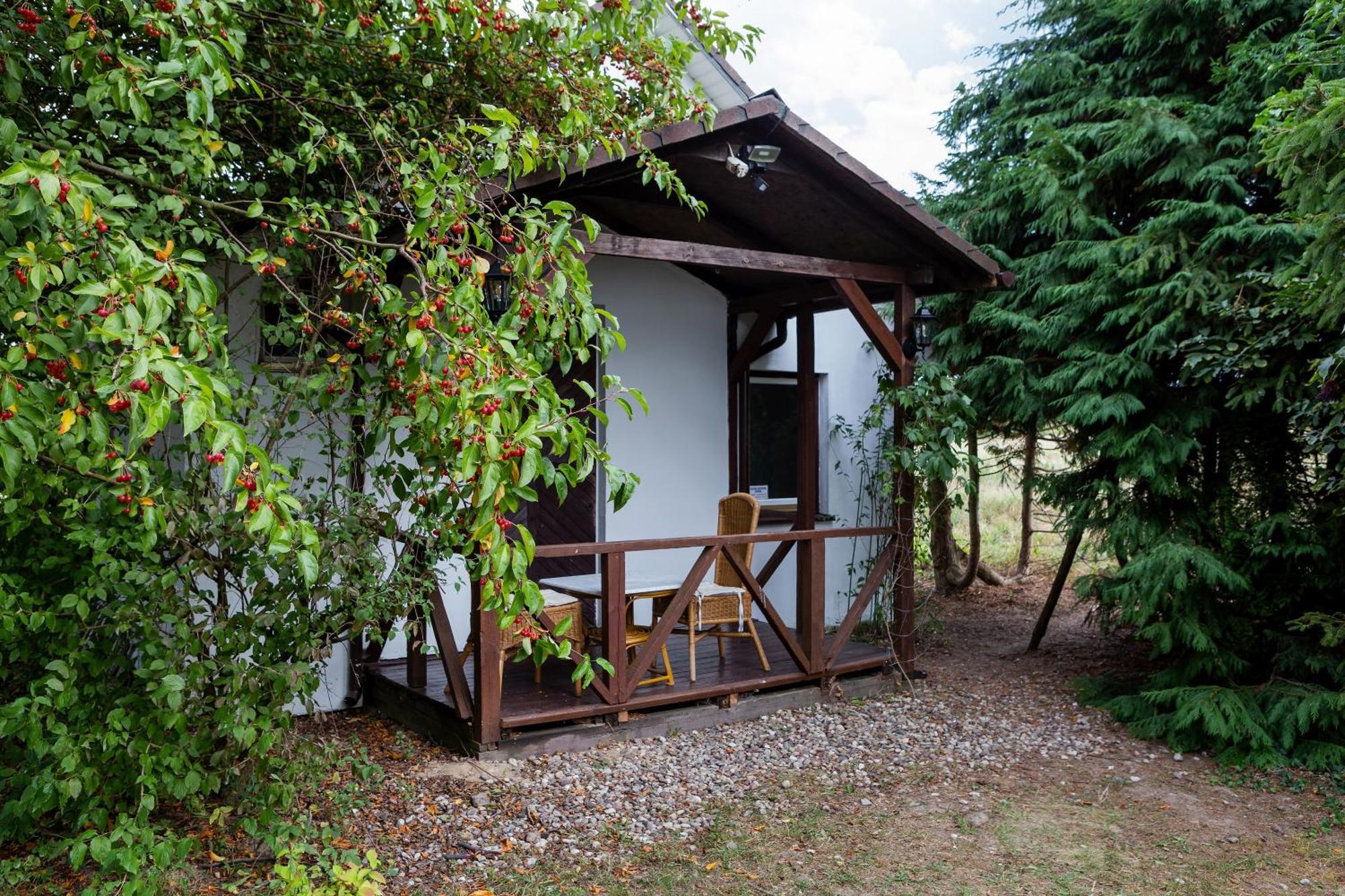 Windmill Vacation Home In Ledzin Near Baltic Sea Ниешорце Стая снимка