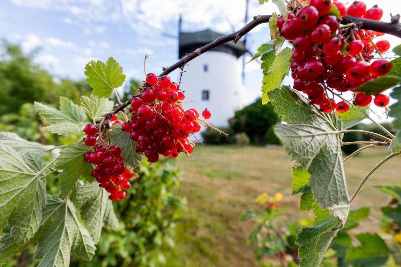 Windmill Vacation Home In Ledzin Near Baltic Sea Ниешорце Екстериор снимка